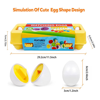 Montessori Matching Eggs